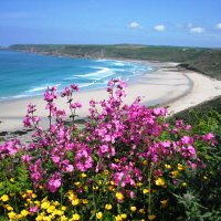 Kust Cornwall